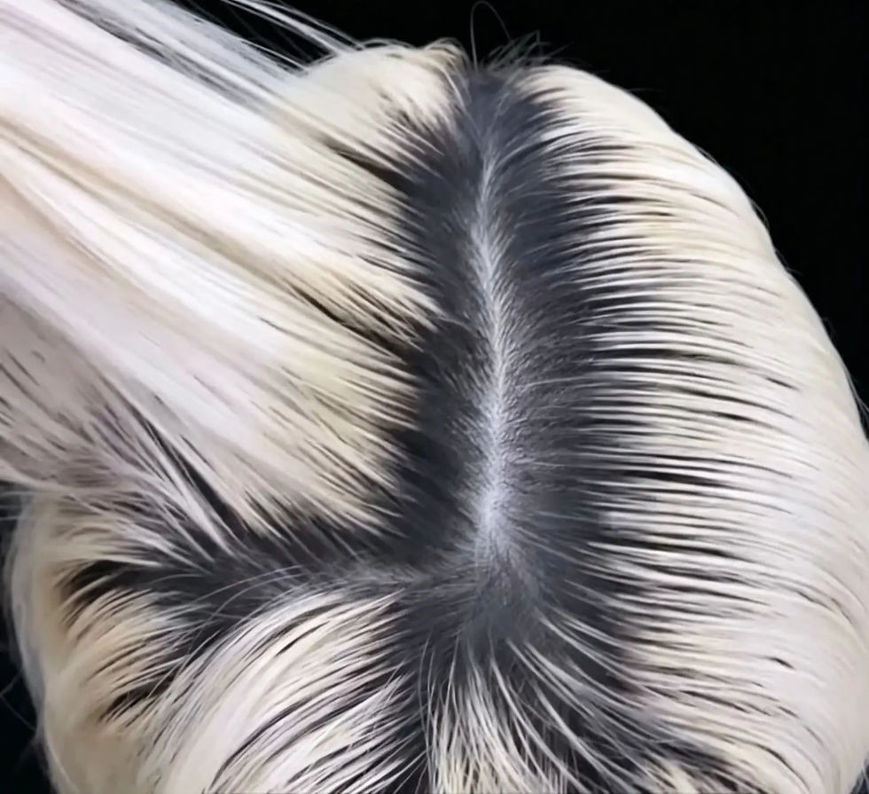 Hair Bleaching Hair Lightening Kuşadası Professional Hair Lightening Blonde Specialist Kuş