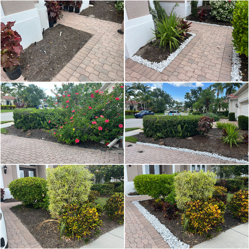 32FC9A6A-9090-4D57-8E7F-86B23D3A579E