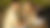 Laughing couple with their dog for a wedding video.