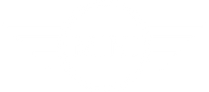 MINI_symbol_RGB_white_200px.png