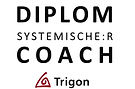 DiplomCoach Block.jpeg