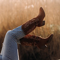 jn9a8508.jpg