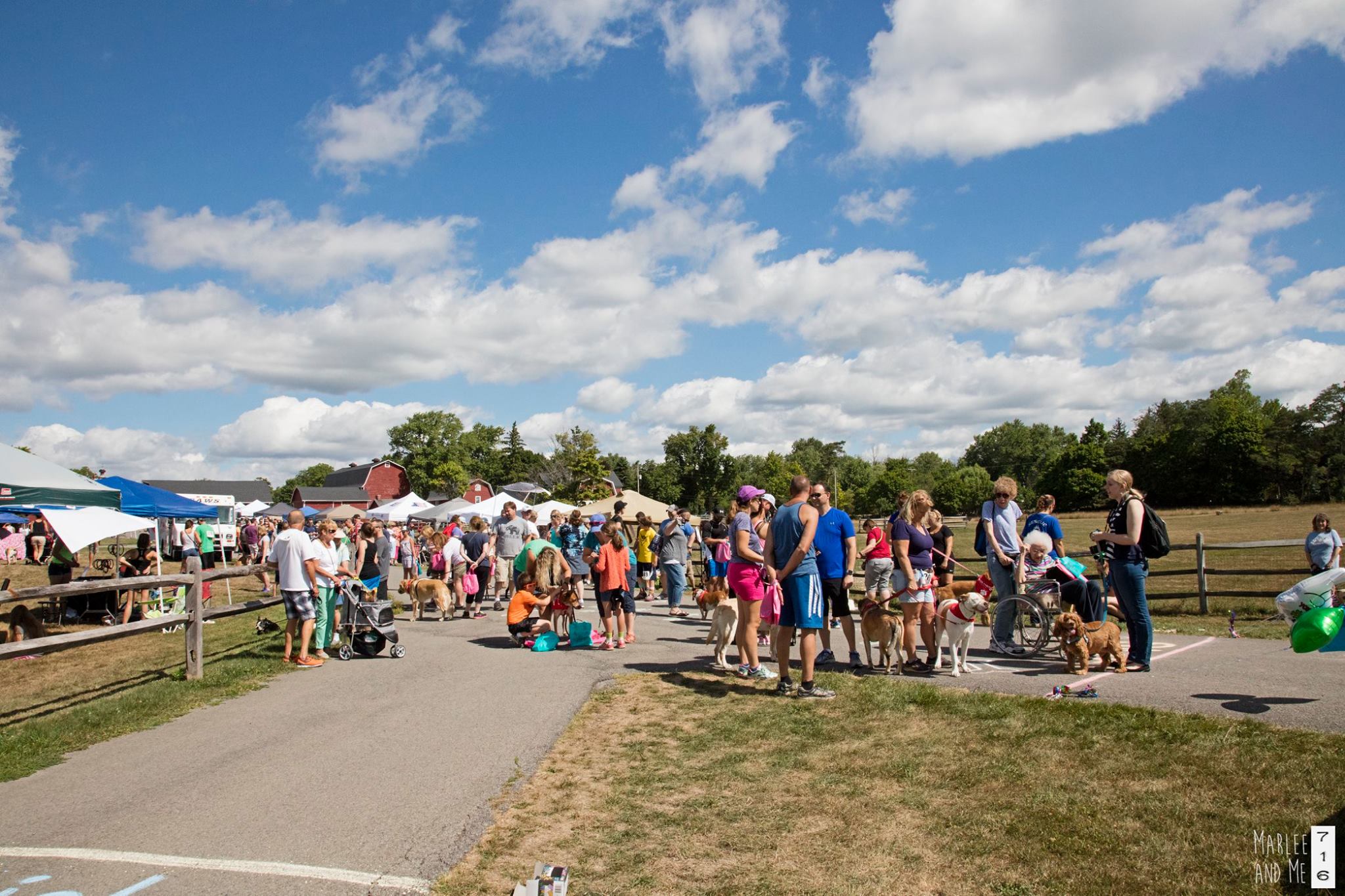 Events at Knox