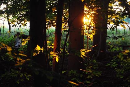 Photo by Mary Therese Griffin