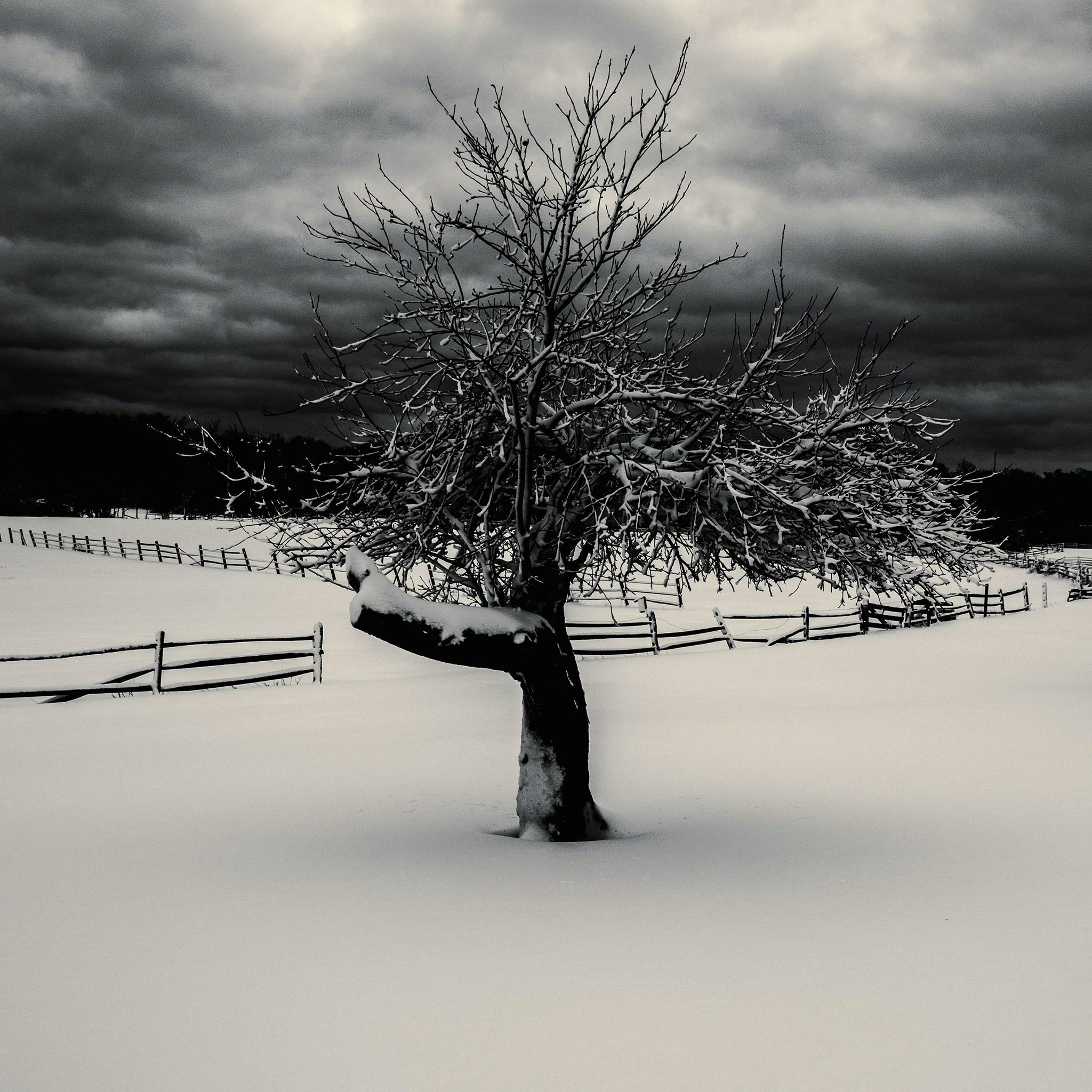 Photo by Joe Hubert