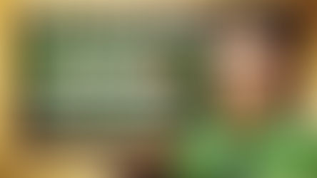 Les accords dans le groupe nominal