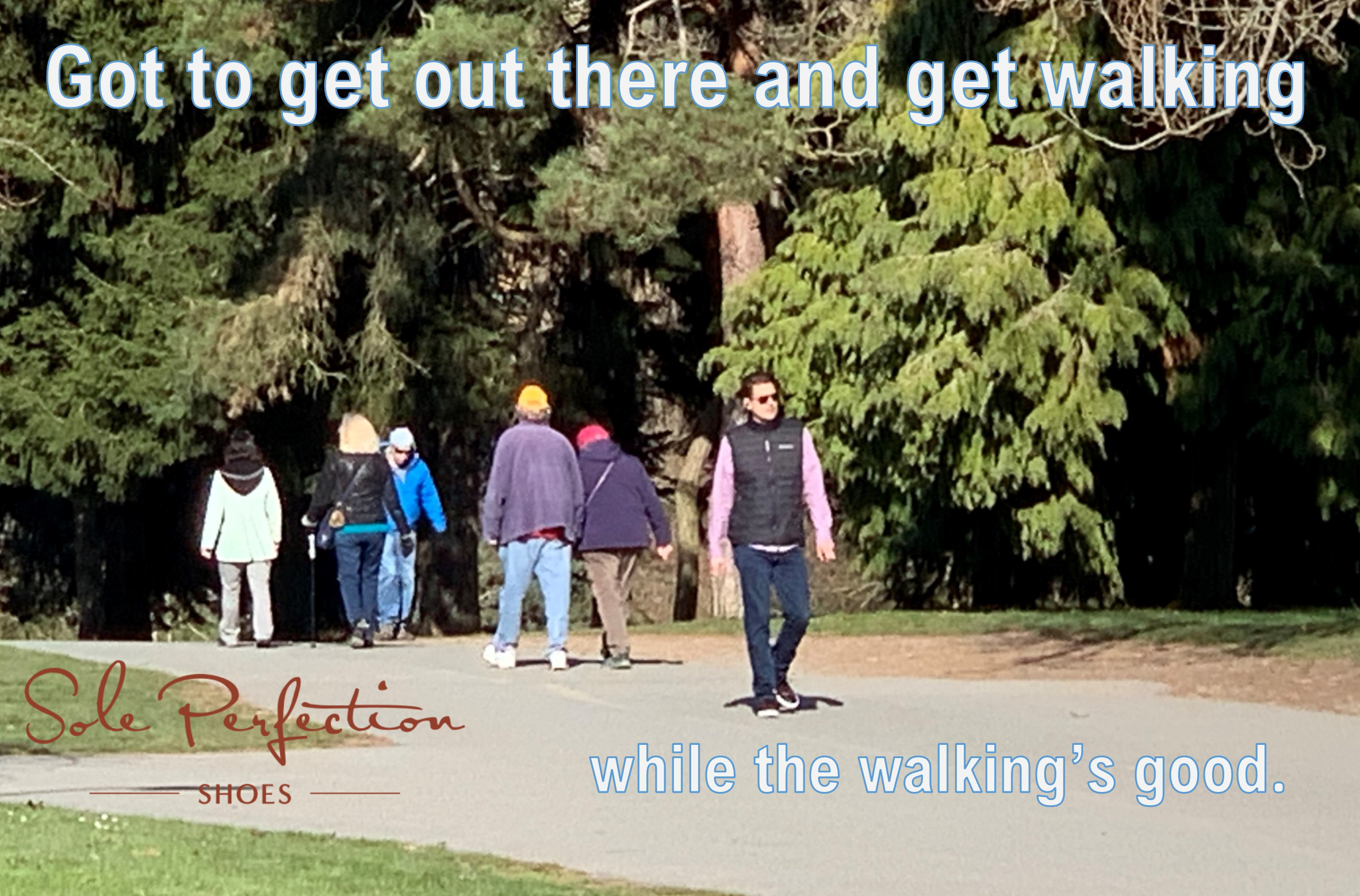 Sole Perfection Seattle Shoes