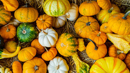 AdobeStock_379046212.jpeg