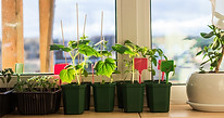 AdobeStock_340741811.jpeg