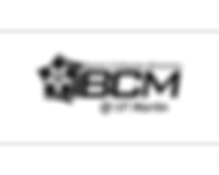 UTM BCM logo_edited_edited.png