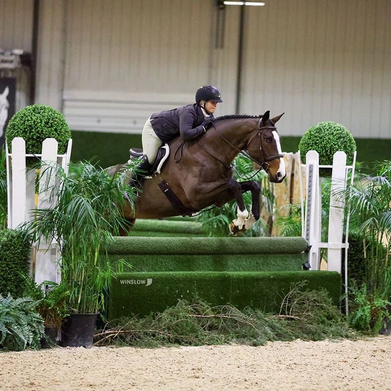 Rebel Heart Farm LLC Equestrian Sales and Training Zionsville, IN