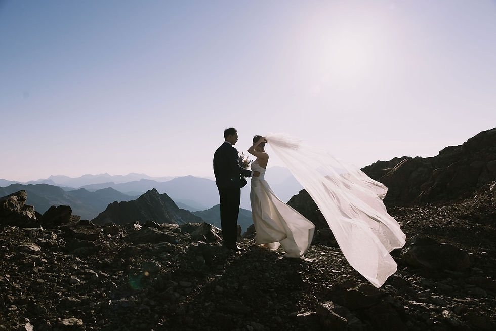 Bride and groom from behind looking out over the mountains during their Squamish helicopter elopement wedding.
