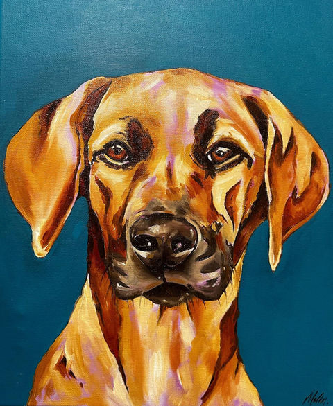 Dog Portraits