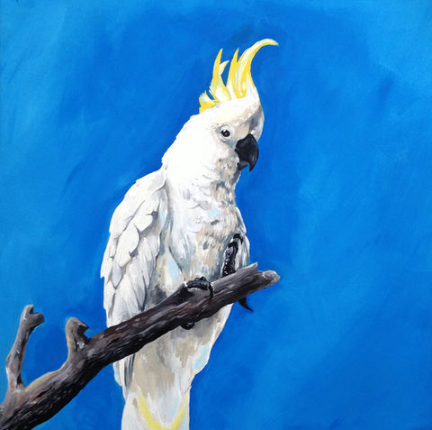 Feathers