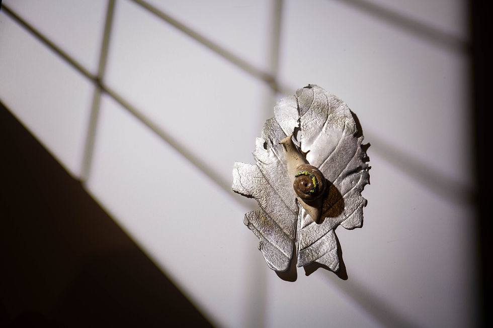 섬네일: 달팽이 향로