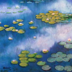 Water Lillies 13