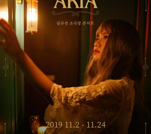 11월 2일 심규선 소극장 콘서트,.jpg