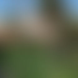 The Law and the Internet: an interview with Eric Goldman