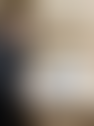 Austria, Pioneering Legal Tech since 1959