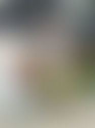 Growth in the Legal Sector