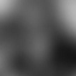 Your Weekly Lawtomatic Digest