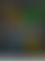 Beyond semantics: Why "Taking the lead/ership" does not equal “Leadership”