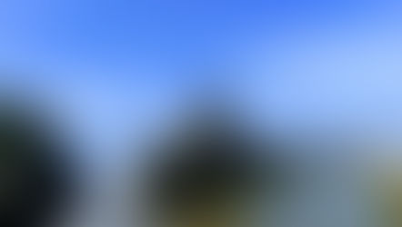 どうぞ良い夏を！！