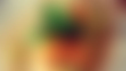 ２月＆３月　ミモザのケーキのお申し込みの返事 ：：： 2017.02.07 Tuesday