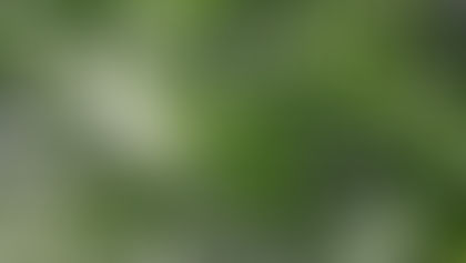 水無月 ：：： 2019.06.06 Thursday