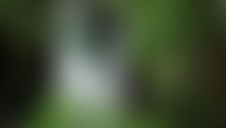 酷暑、猛残暑 ：：： 2018.08.26 Sunday