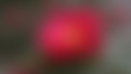 睦月 ：：： 2017.01.13 Friday