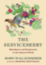 the serviceberry