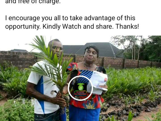 We successfully launched the distribution of over 450,000 palm seedlings to farmers under the OUKF