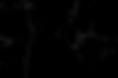 Black Marble- Contrasted .jpg