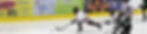 LTPbanner_edited.jpg