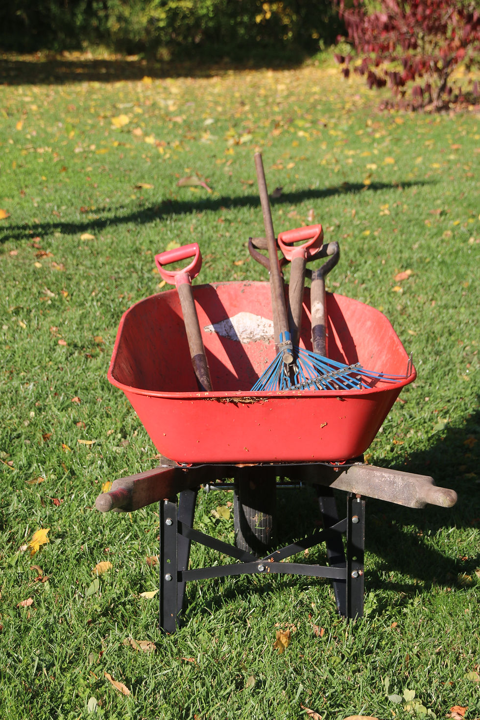Nassau Park Gardens Spring Clean up - Volunteers Wanted for Saturday April 20 9:30am