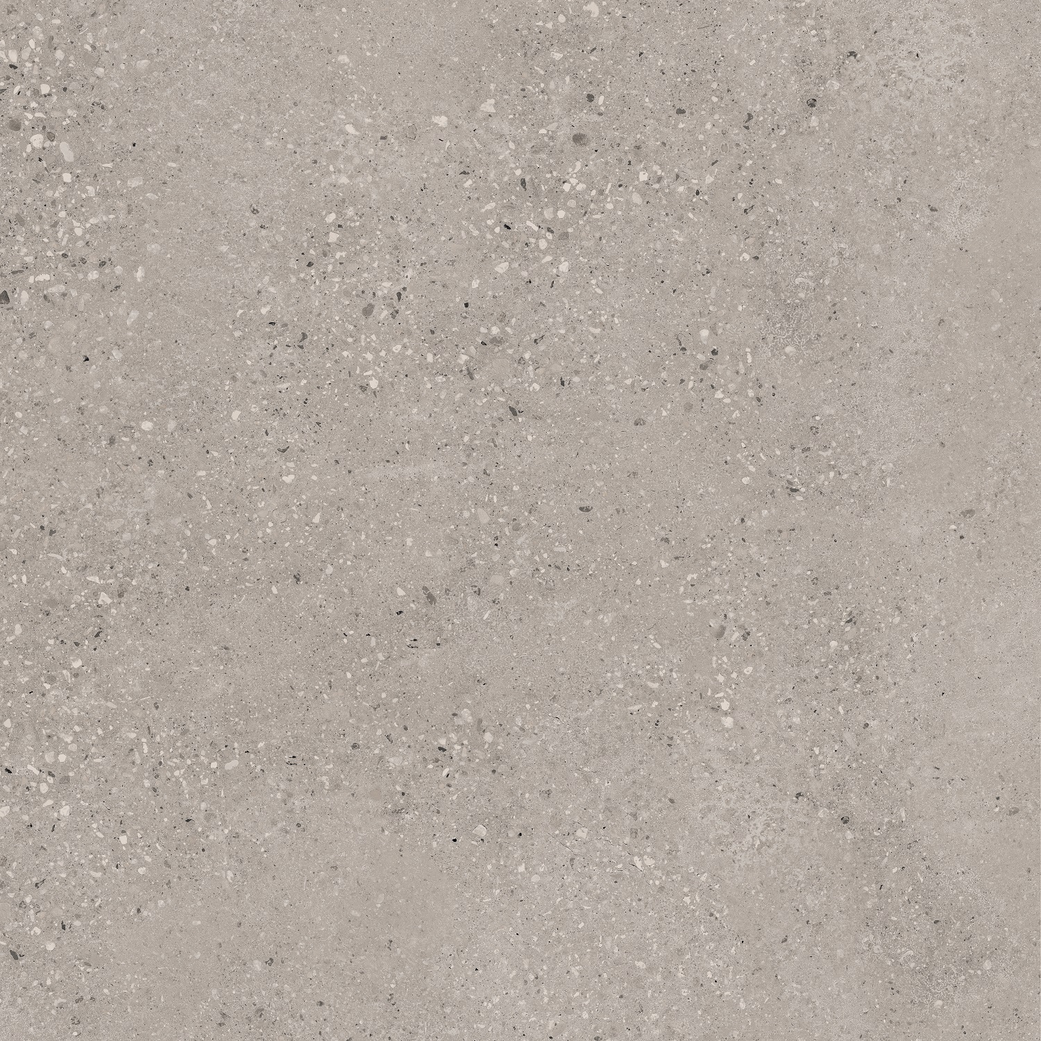 Gresie Stone X Grey 60 X60 C M