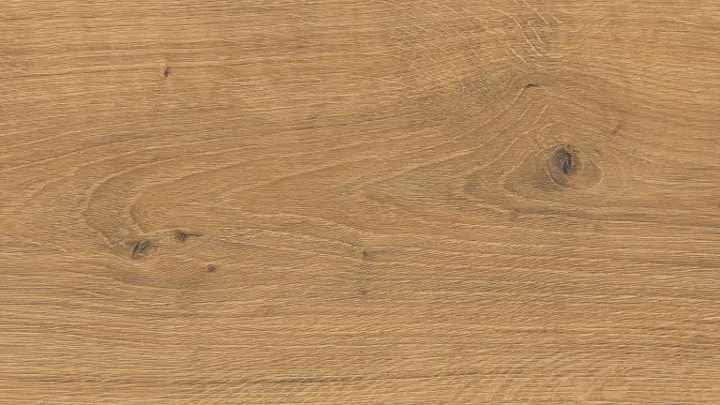 El2137 Stejar Cadiz miere