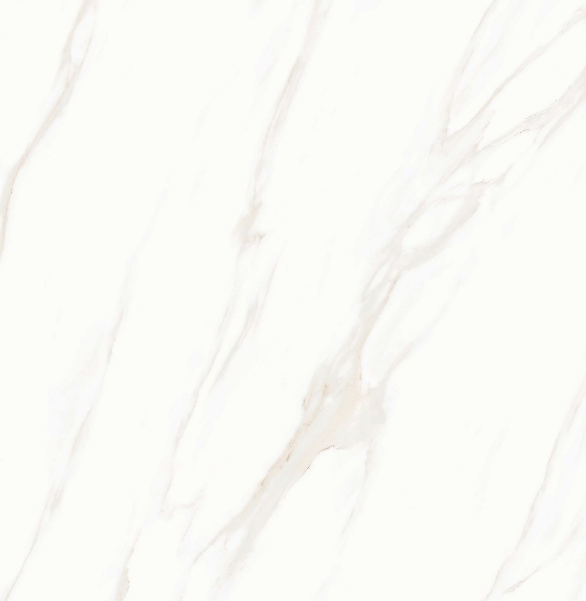 Gresie jbn83639D80X80