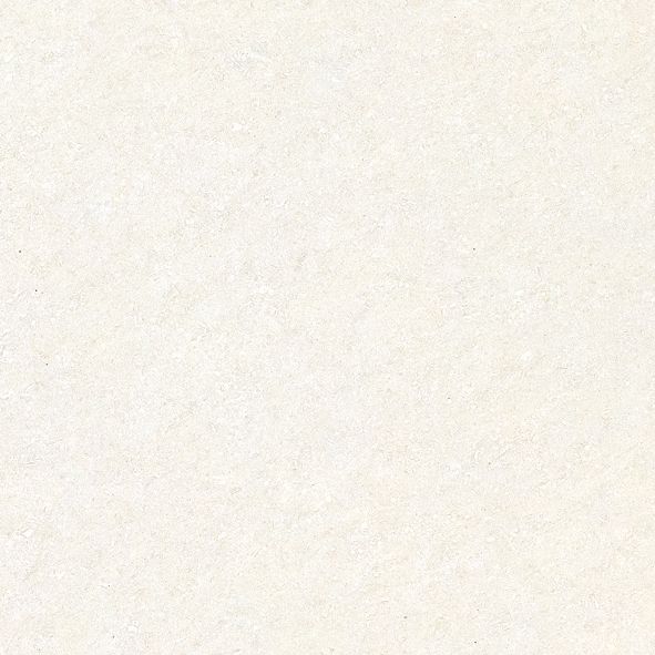 Gresie W6 B60360 X60