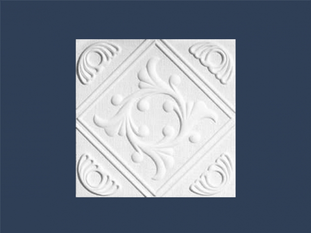 Anet Overlap Cassette 500X500