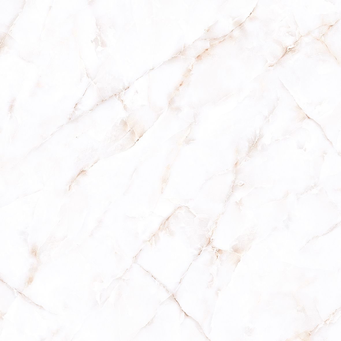 Gresie new 256060X60