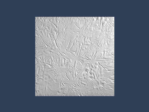 Leather Contact Box 500X500