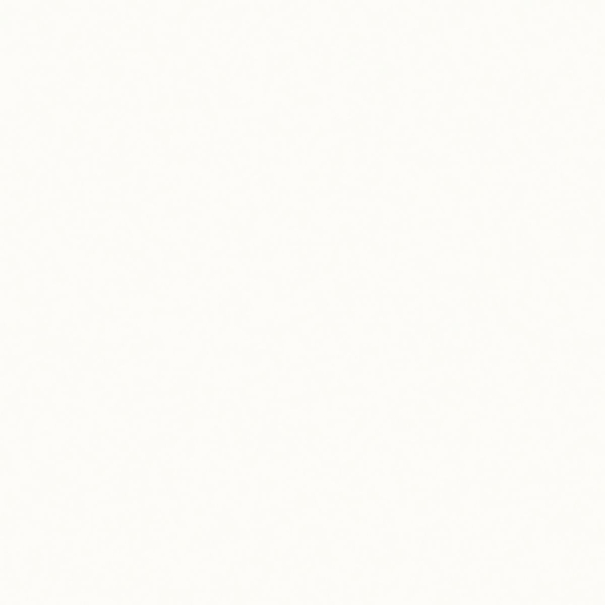 Gresie Super Super  White  F C-6 B600060 X60