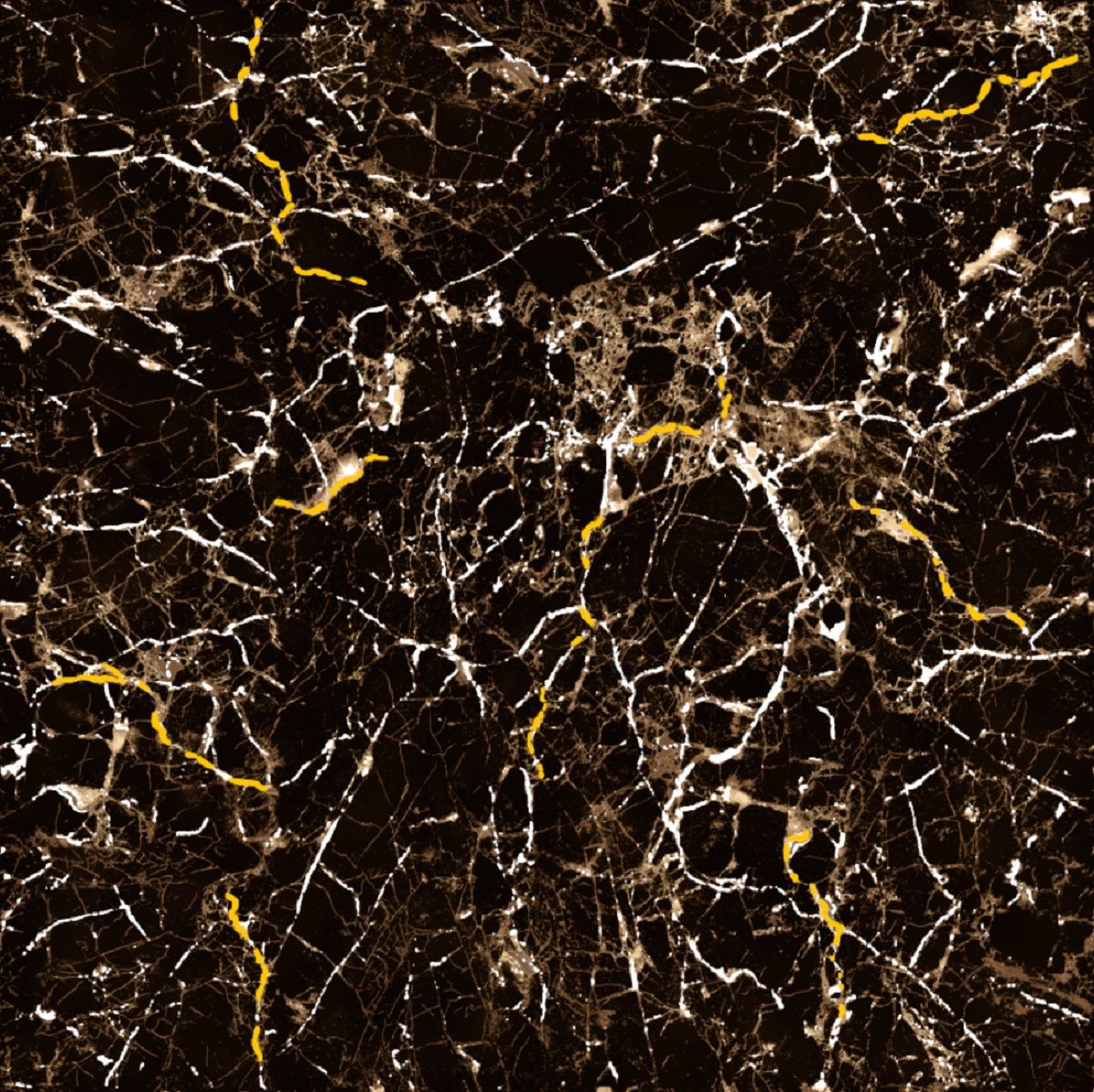 Gresie  T60222 G60 X60