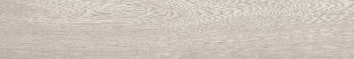 Gresie pp-100219.5X120