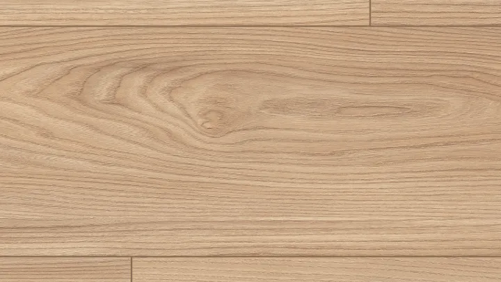 El1242 Salcâm Sheffield natur