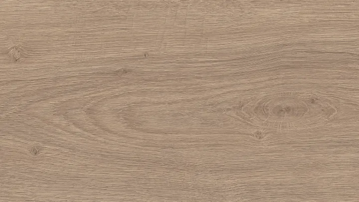 El2029 Stejar Victoria maro