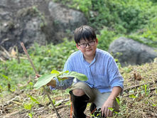 Planting Big Trees for Our Home at Chiang Rai