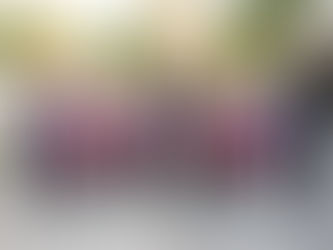 Участие при откриването на "Меден Фест 2018"